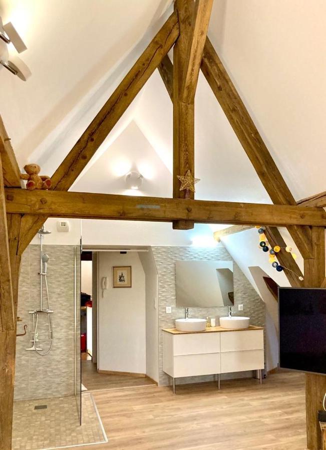 Appartement Le Loft à Colmar Extérieur photo